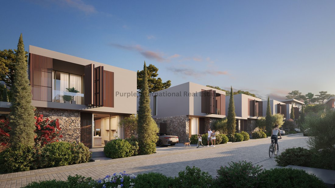 Villa in Peyia, Paphos, Cyprus 5 - 17531452