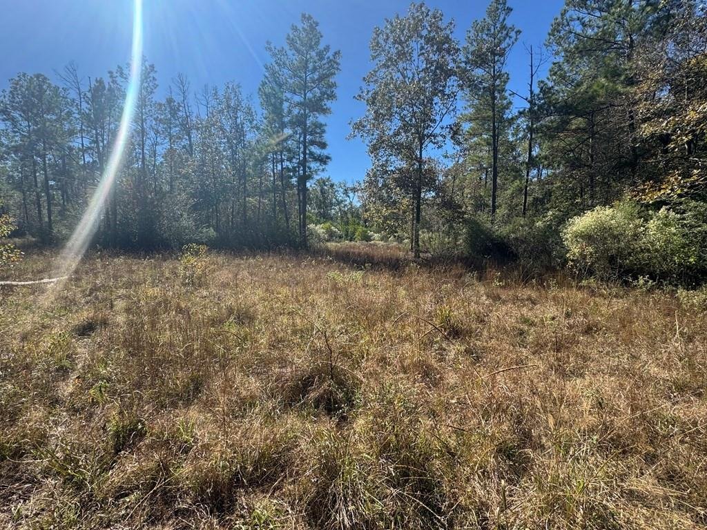 House in Lufkin, Texas, United States 4 - 17531464