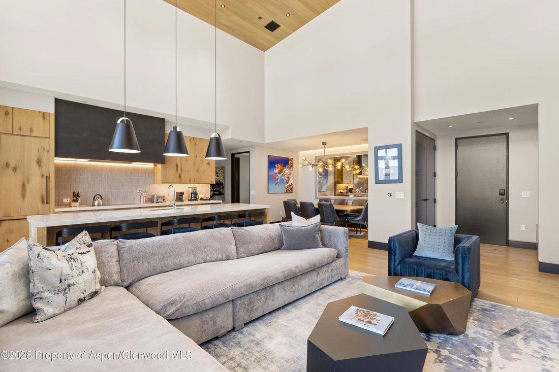Appartement à Snowmass Village, Colorado, États-Unis 5 - 17535068