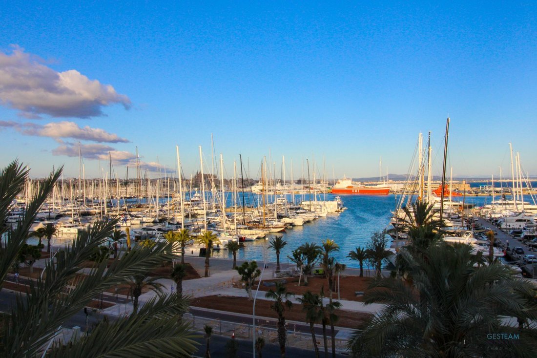 Apartment in Palma, Balearic Islands, Spain 2 - 17531669