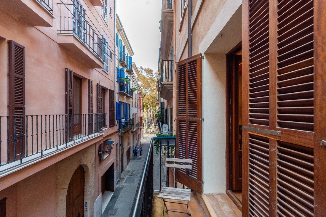 Apartment in Palma, Balearic Islands, Spain 1 - 17531531