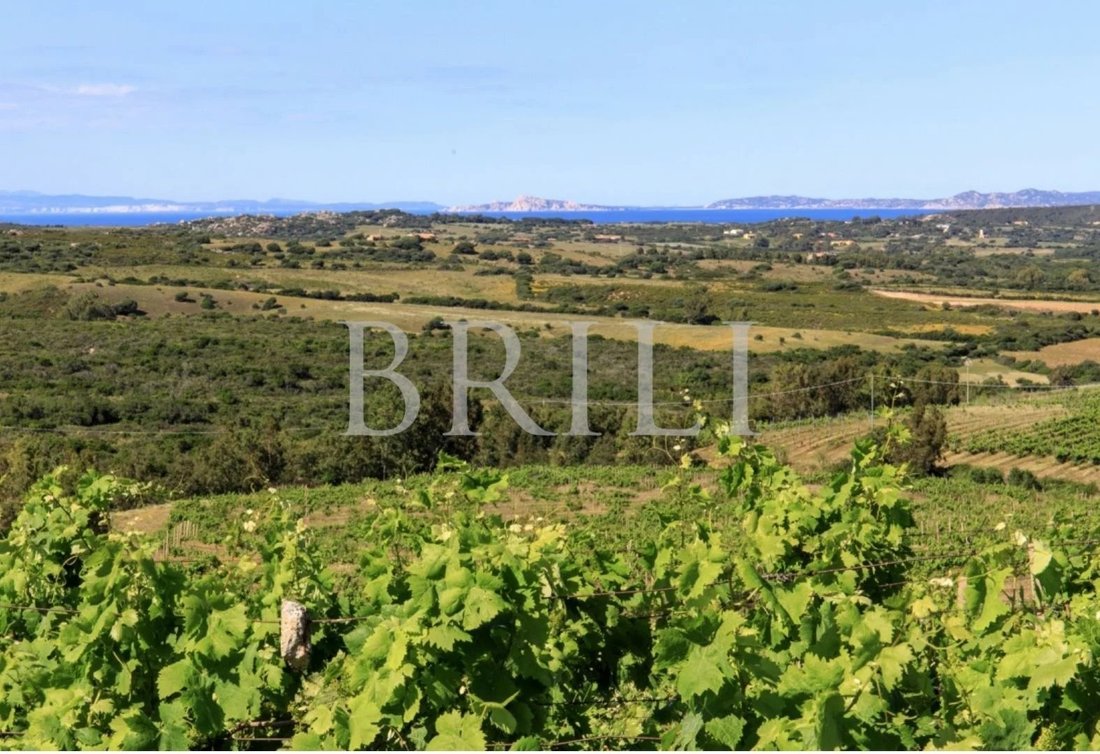 Domaine à Trinità d'Agultu e Vignola, Sardaigne, Italie 2 - 17530747