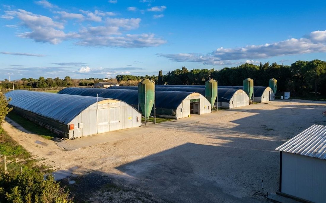 Farm Ranch in Castiglione del Lago, Umbria, Italy 4 - 17535045