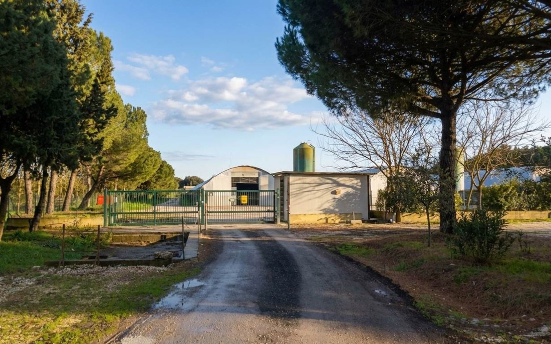 Farm Ranch in Castiglione del Lago, Umbria, Italy 2 - 17535045