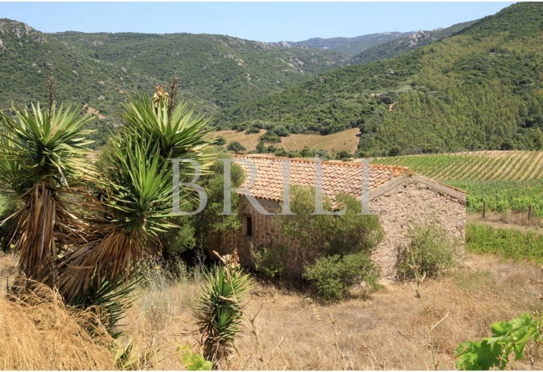 Domaine à Trinità d'Agultu e Vignola, Sardaigne, Italie 5 - 17530747