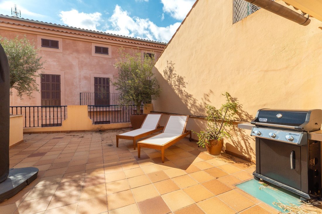 Apartment in Palma, Balearic Islands, Spain 1 - 17531624