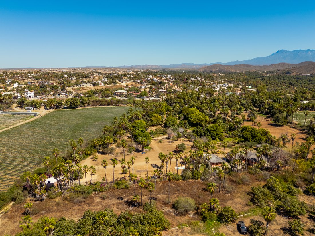 Farm Ranch in Todos Santos, Baja California Sur, Mexico 4 - 17532485