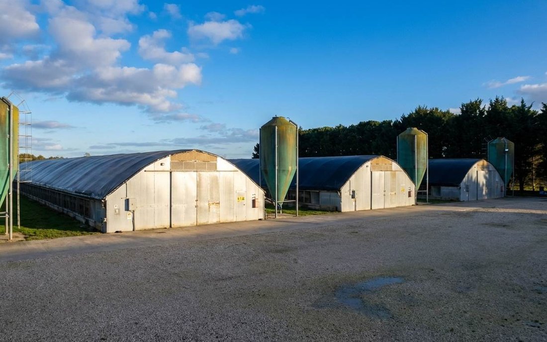 Farm Ranch in Castiglione del Lago, Umbria, Italy 5 - 17535045