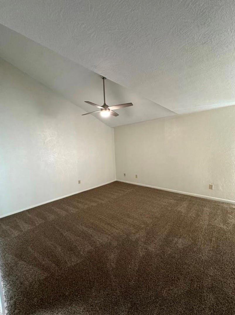 College Station, Texas, United States 5 - 17534293