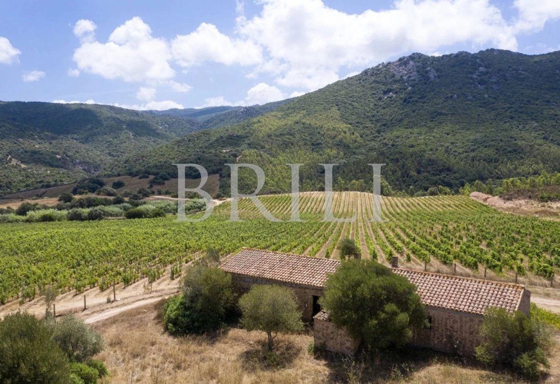 Domaine à Trinità d'Agultu e Vignola, Sardaigne, Italie 4 - 17530747