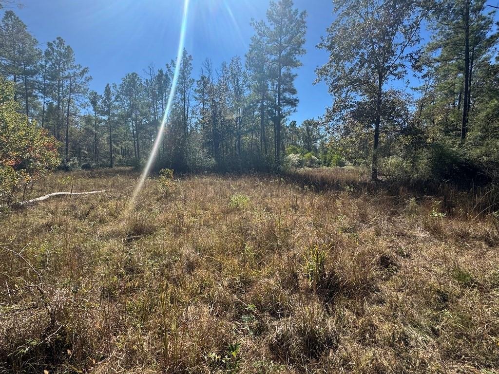House in Lufkin, Texas, United States 3 - 17531464