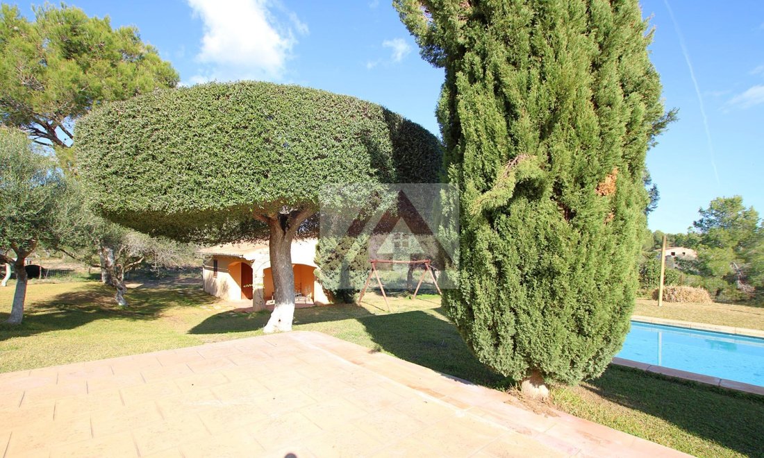 Villa in Felanitx, Balearic Islands, Spain 5 - 17531902
