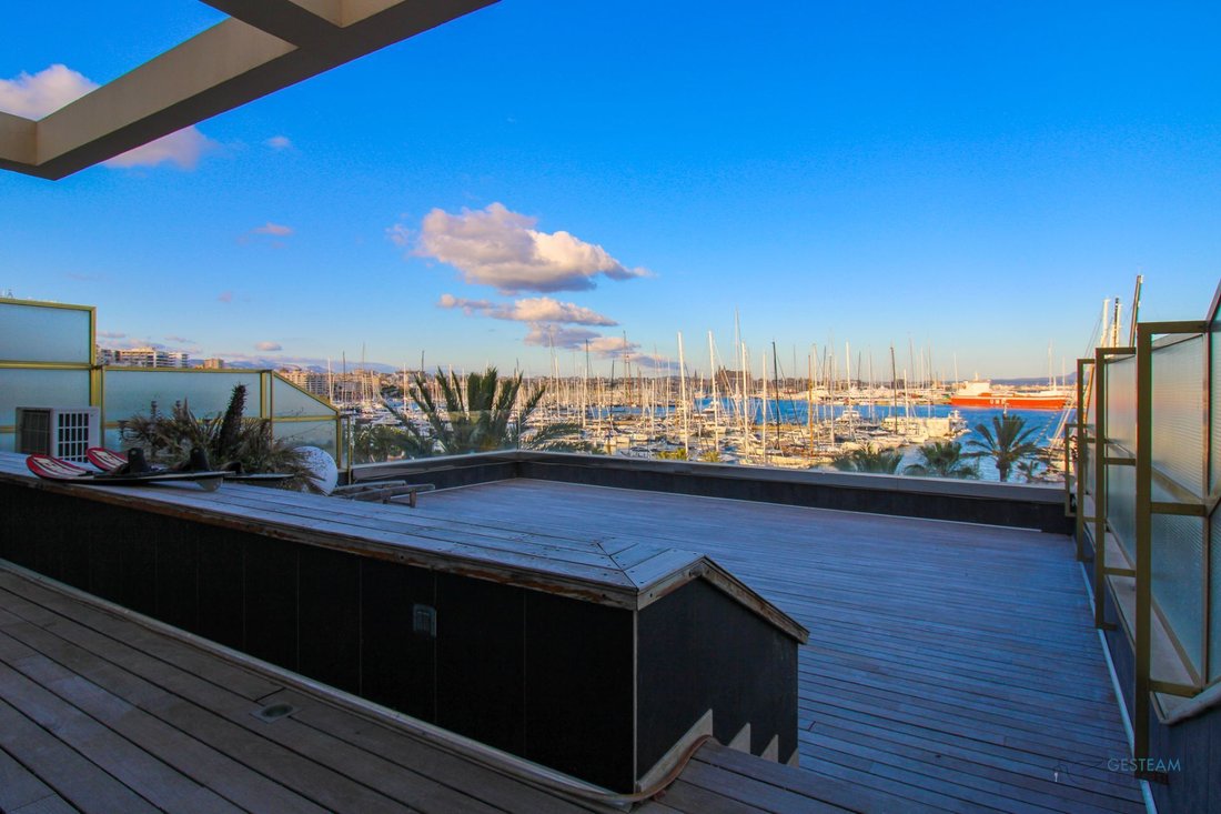 Apartment in Palma, Balearic Islands, Spain 1 - 17531669