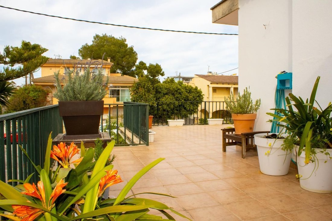 Apartment in Alcudia, Balearic Islands, Spain 4 - 17531676