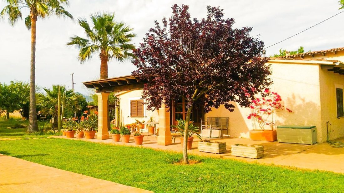House in Santa Maria del Cami, Balearic Islands, Spain 3 - 17530832
