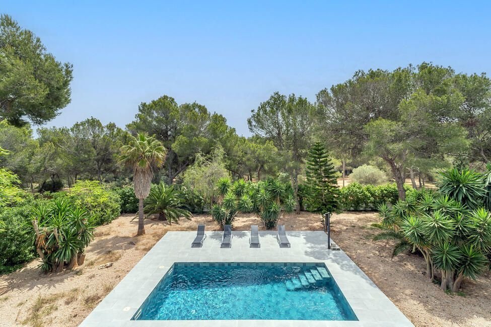 Villa in Palma, Balearic Islands, Spain 4 - 17530588