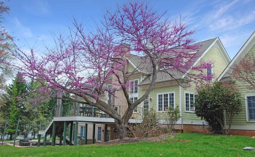 House in Earlysville, Virginia, United States 1