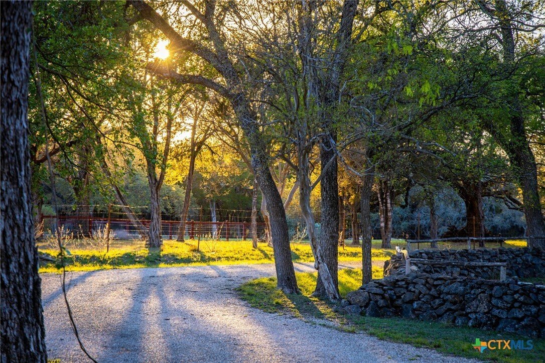House in New Braunfels, Texas, United States 5 - 17533862