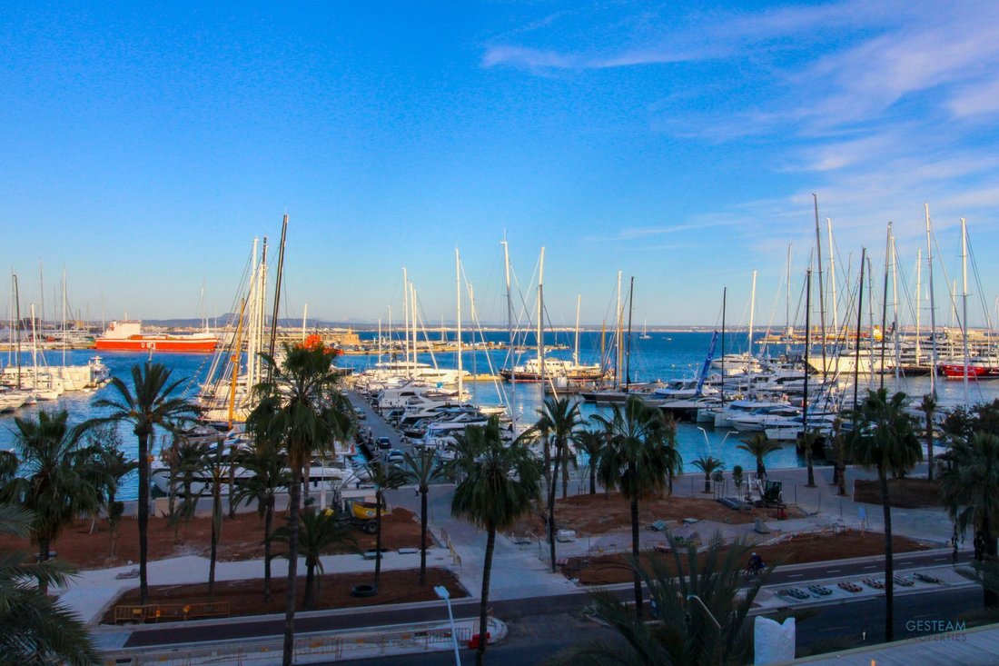 Apartment in Palma, Balearic Islands, Spain 3 - 17531669