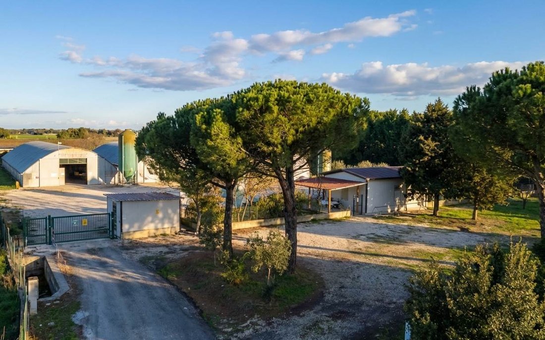 Farm Ranch in Castiglione del Lago, Umbria, Italy 1 - 17535045