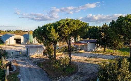Farm Ranch in Castiglione del Lago, Umbrien, Italien 1