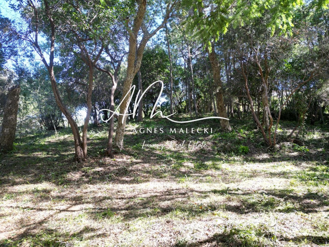 Land in Rayol-Canadel-sur-Mer, Provence-Alpes-Côte d'Azur, France 1 - 17407768
