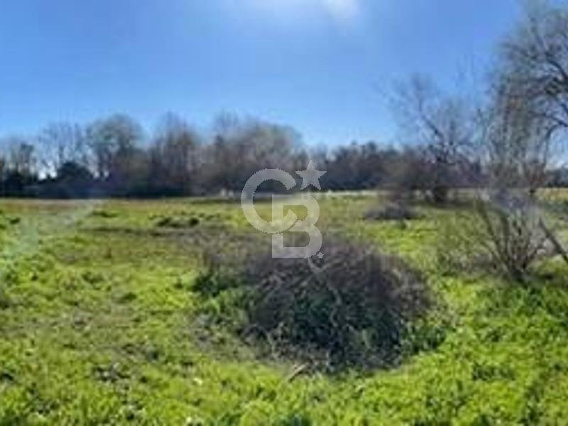 Land in San Vicente de Tagua Tagua, O'Higgins, Chile 4 - 17534915