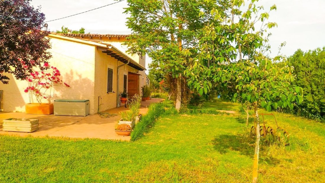 House in Santa Maria del Cami, Balearic Islands, Spain 5 - 17530832