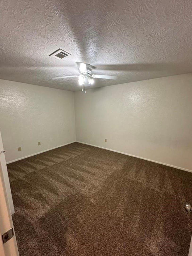 College Station, Texas, United States 3 - 17534293