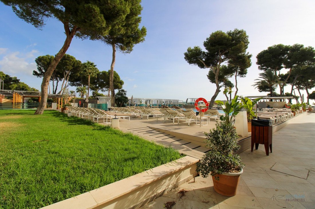 Apartment in Calvia, Balearic Islands, Spain 4 - 17531574