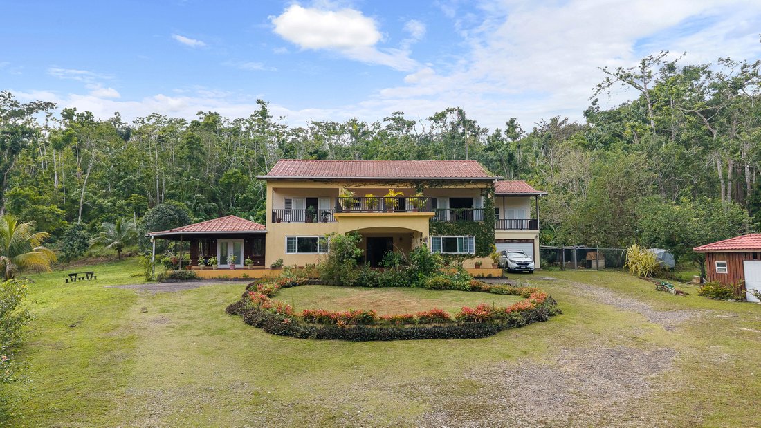 House in Higgin Town, Jamaica 1 - 17533093