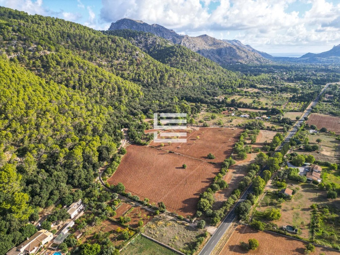 Finca in Pollenca, Balearic Islands, Spain 4 - 17531447
