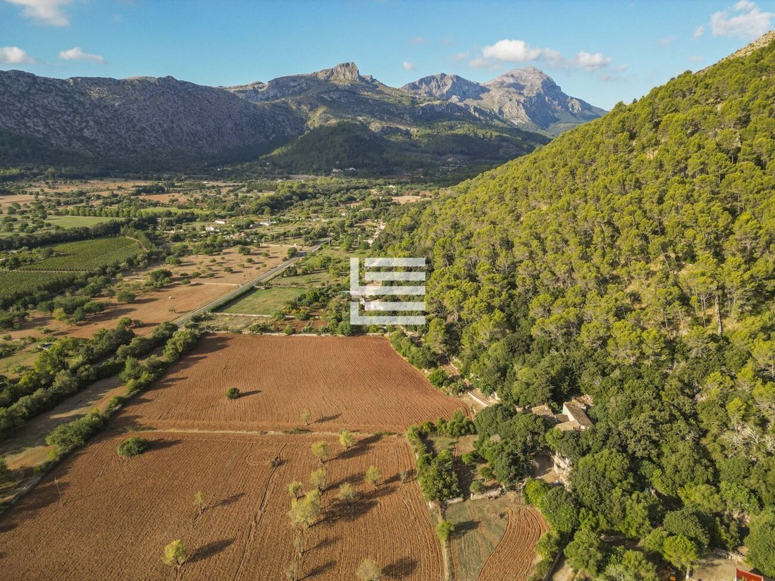 Finca in Pollenca, Balearic Islands, Spain 5 - 17531447