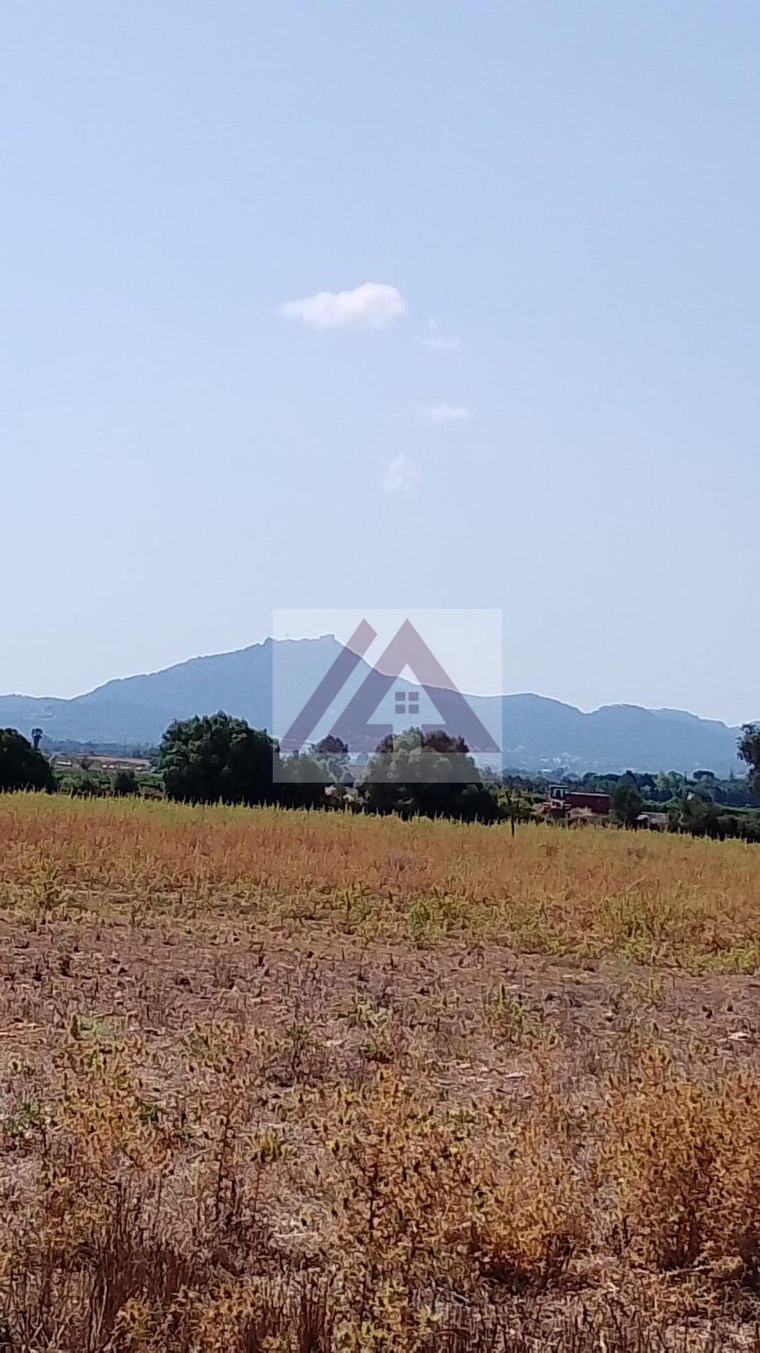Land in Felanitx, Balearic Islands, Spain 1 - 17530677