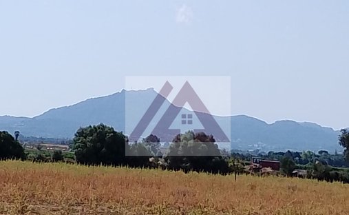 Land in Felanitx, Balearic Islands, Spain 1