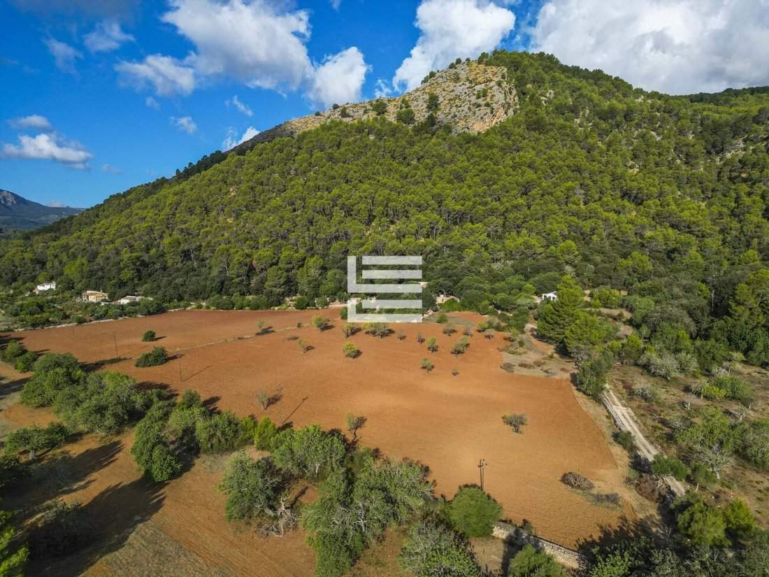 Finca in Pollenca, Balearic Islands, Spain 2 - 17531447
