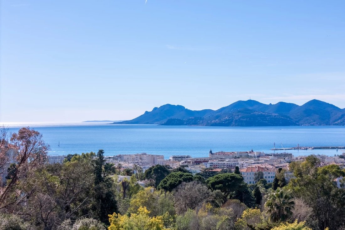 Villa in Montfleury, Cannes, France 3 - 17532024