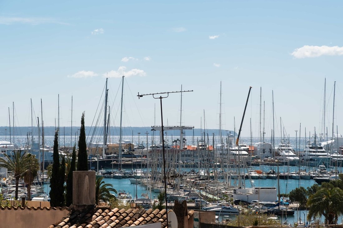 Apartment in Palma, Balearic Islands, Spain 2 - 17531665