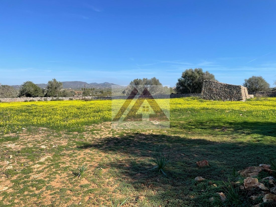 Land in es Llombards, Santanyi, Balearic Islands 4 - 17530691