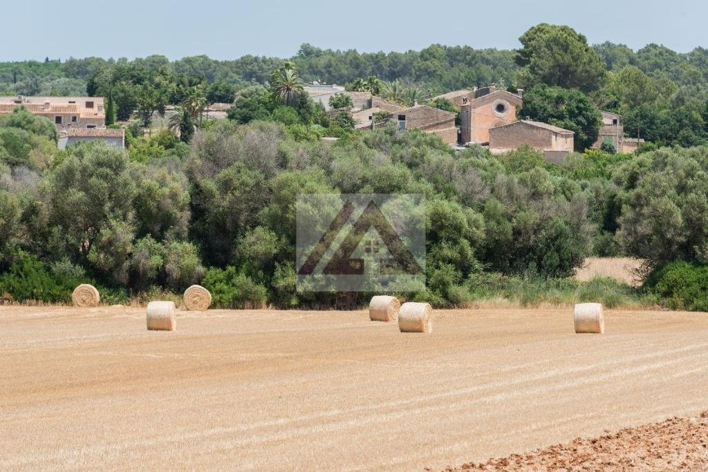 Country House in Sencelles, Balearic Islands, Spain 2 - 17531510
