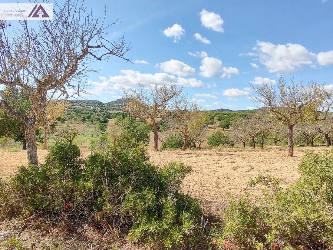 Land in Santanyi, Balearic Islands, Spain 1 - 17530610