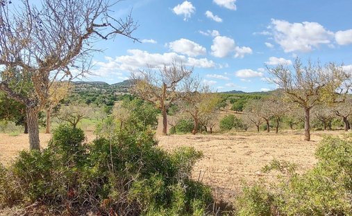 Land in Santanyí, Balearische Inseln, Spanien 1