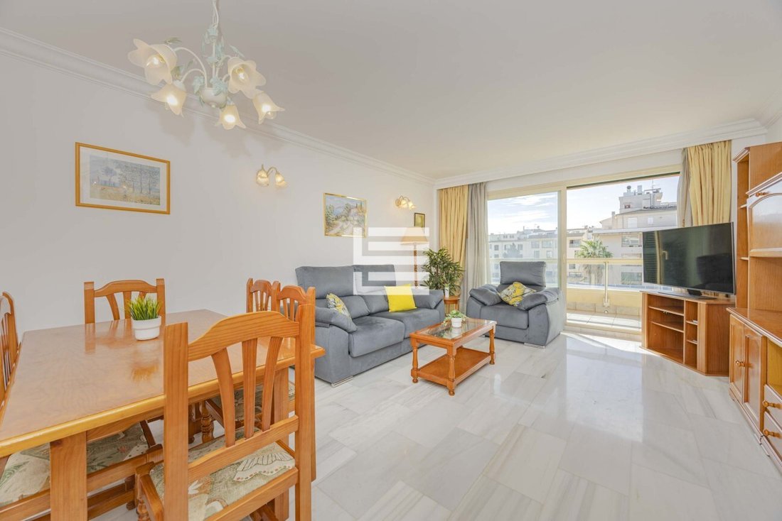Apartment in Alcudia, Balearic Islands, Spain 1 - 17531888
