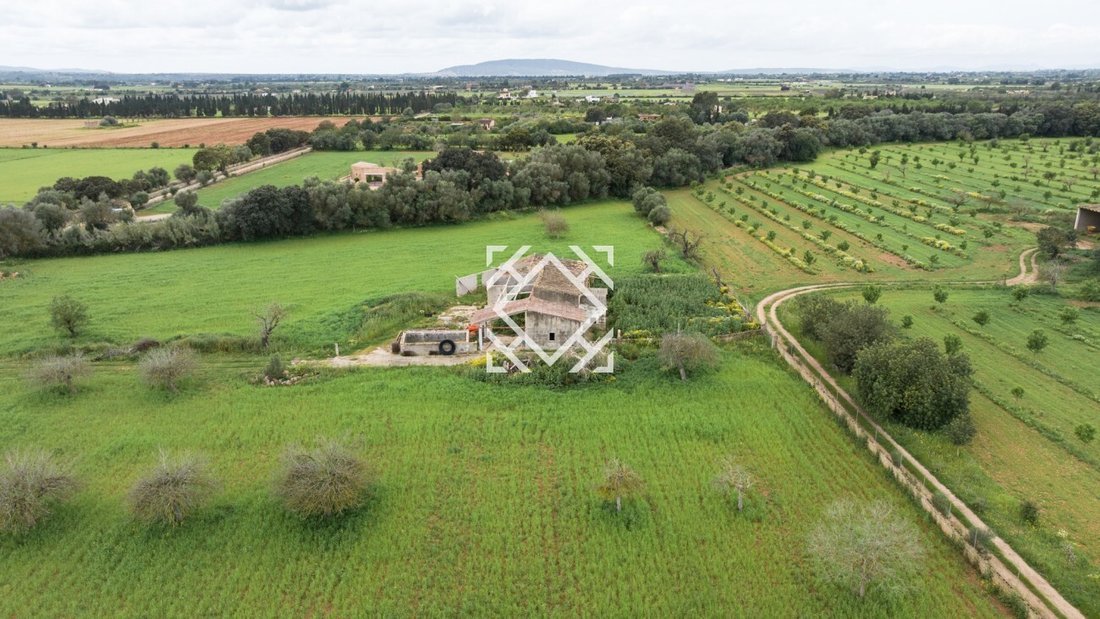 Finca in Binissalem, Balearic Islands, Spain 2 - 17531363