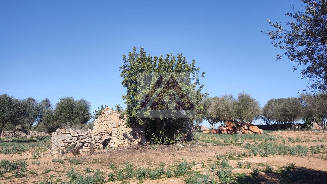 Land in es Llombards, Santanyi, Balearic Islands 2 - 17530691
