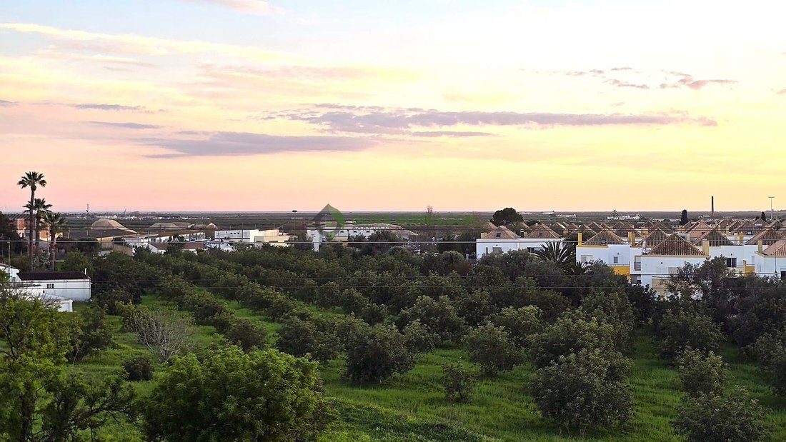 Villa in Tavira (Santa Maria e Santiago), Algarve, Portugal 3 - 17532716