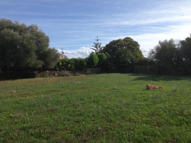 Land in Felanitx, Balearic Islands, Spain 4 - 17530726