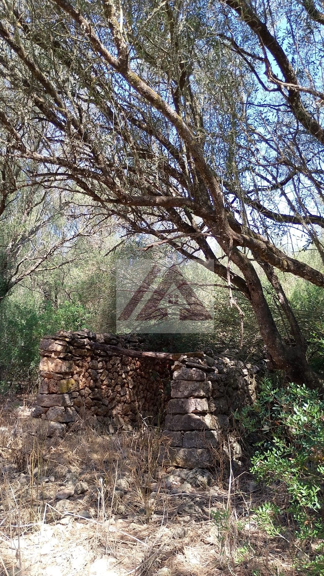 Land in Felanitx, Balearic Islands, Spain 4 - 17530677
