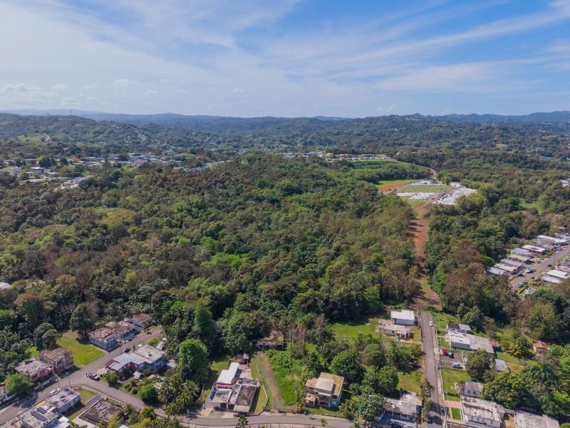 Land in Moca, Moca, Puerto Rico 3 - 17356594