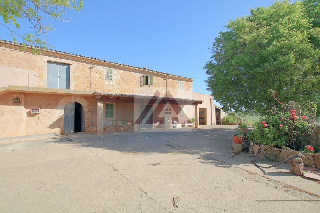 Finca in Felanitx, Balearic Islands, Spain 2 - 17531017